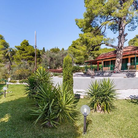 Skopelos Country House Diamantis & Chrisi Agnontas Zewnętrze zdjęcie