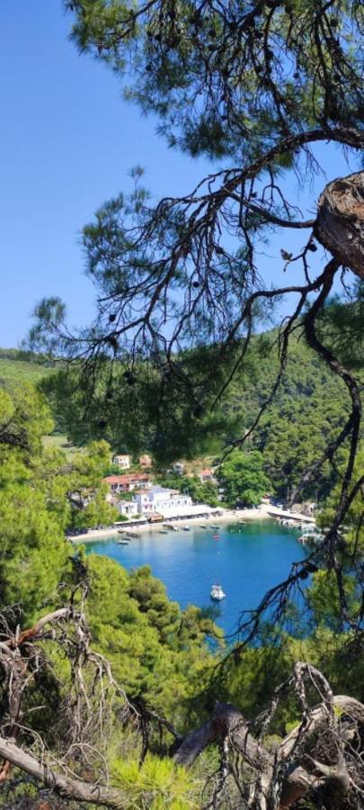Skopelos Country House Diamantis & Chrisi Agnontas Zewnętrze zdjęcie