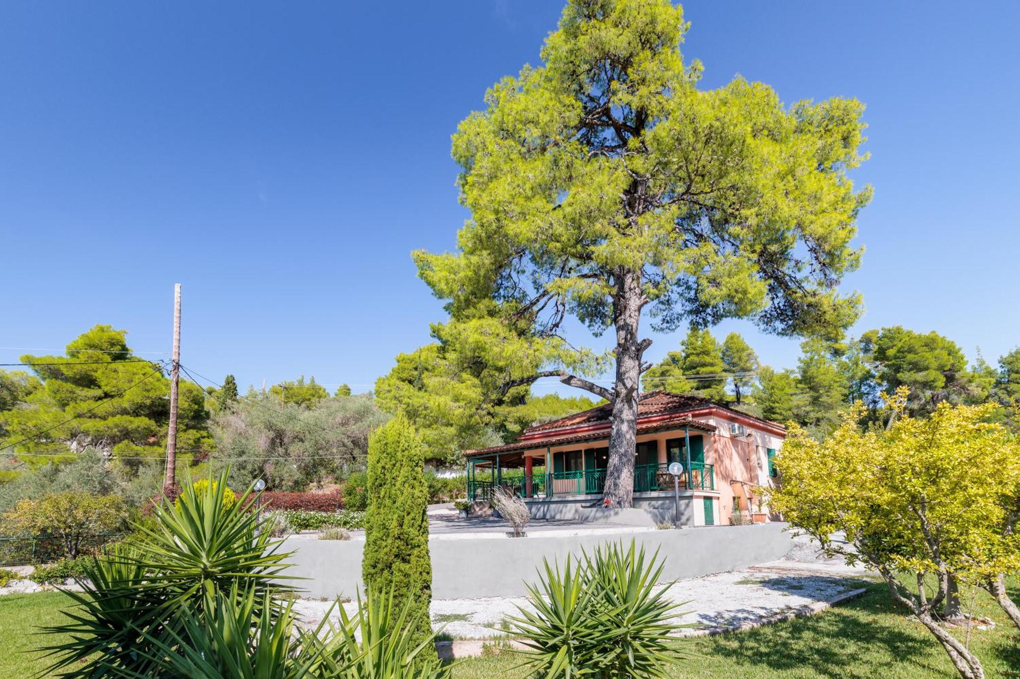 Skopelos Country House Diamantis & Chrisi Agnontas Zewnętrze zdjęcie
